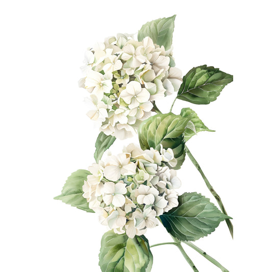 Tablou canvas "White flower 8" - 40x60 cm