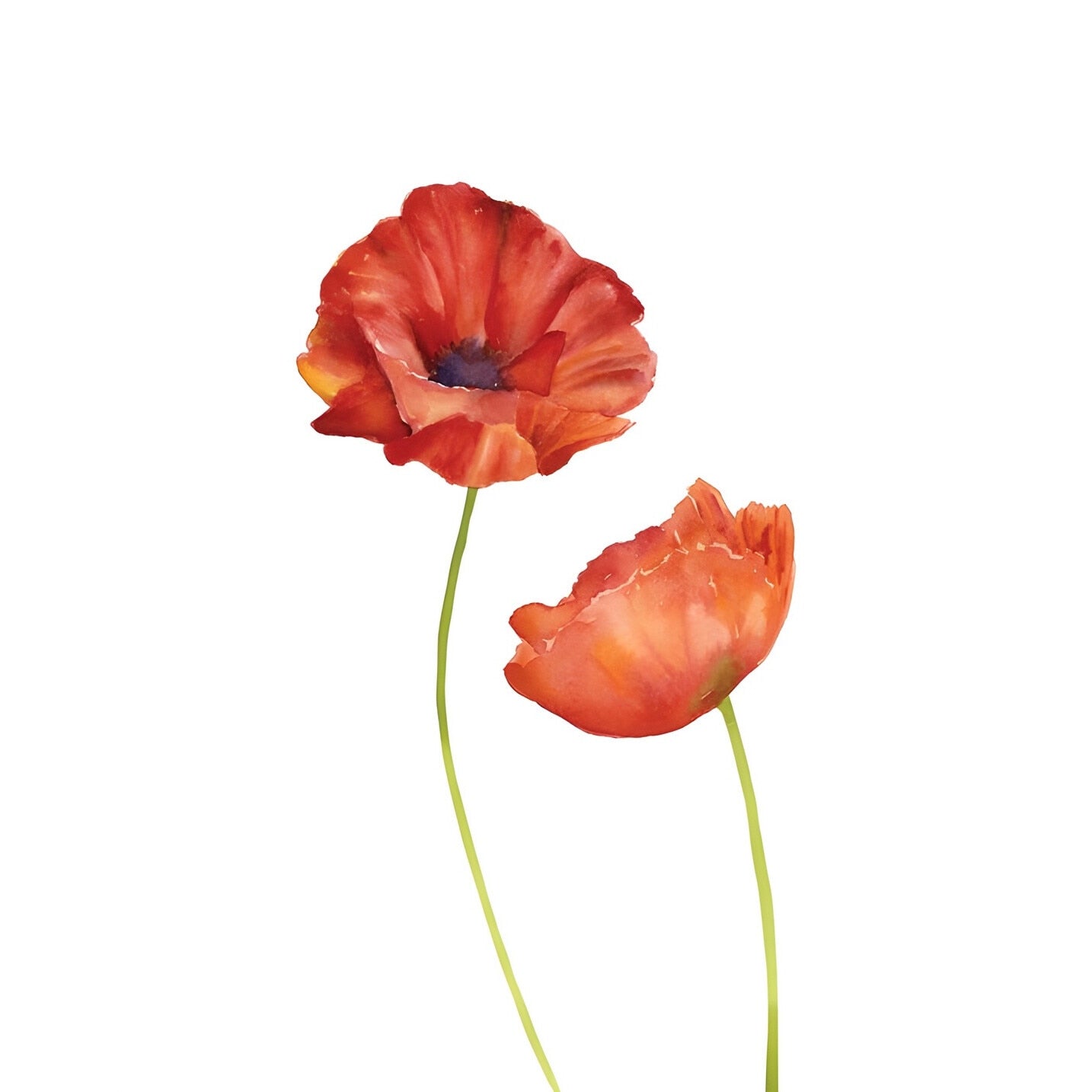 Tablou canvas "REDFLOWER 7" - 40x60 cm